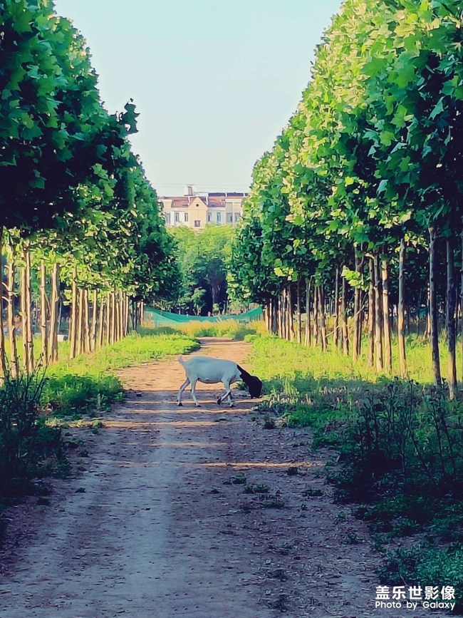 《每周星鮮事》 第107期: