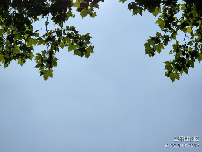 【初夏的樣子】夏日昆明