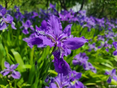 風(fēng)吹過