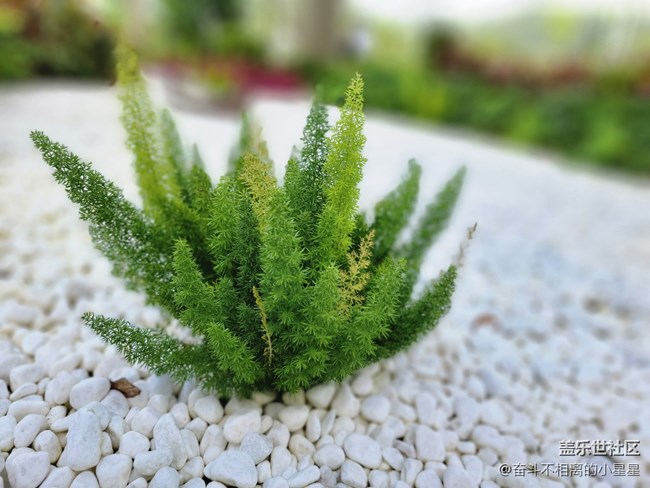 【初夏的樣子】聽著MY ALL ，欣賞屬于我們的夏天