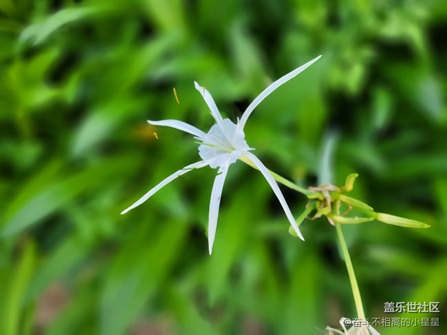 【初夏的樣子】聽著MY ALL ，欣賞屬于我們的夏天