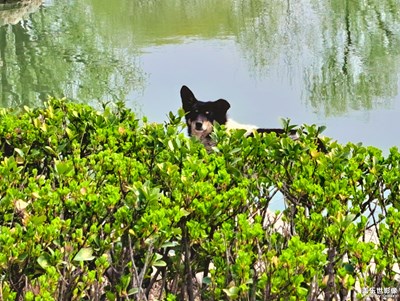 已開獎【蓋樂世影像周賽第245期】——不匆忙時刻
