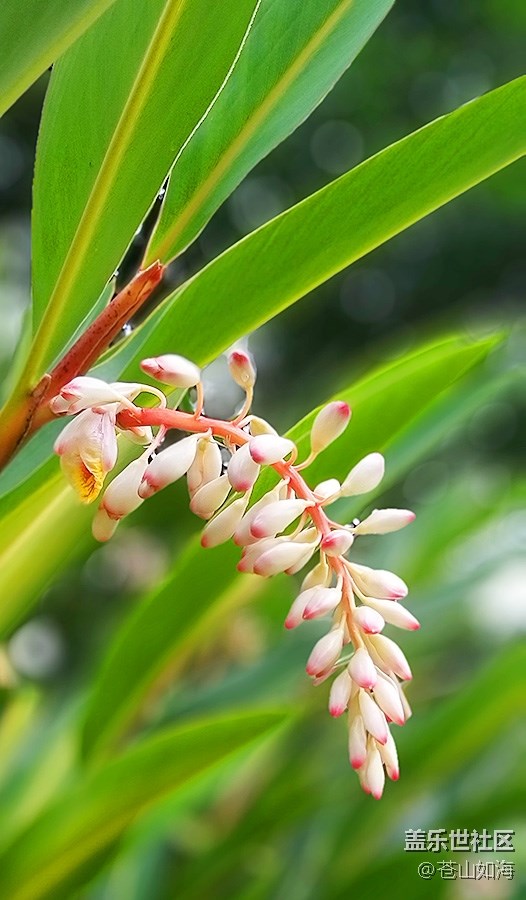 [初夏的樣子]—五月的隨拍