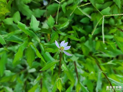 【不匆忙時刻】漫步野趣園