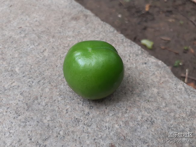 【童年記憶】小時(shí)候偷吃的