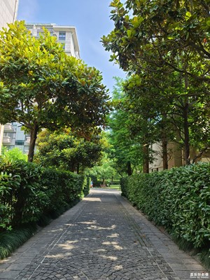 小區(qū)風(fēng)景