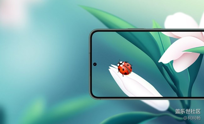 東北大區(qū)第十一場(chǎng)線上活動(dòng)——見(jiàn)微知著