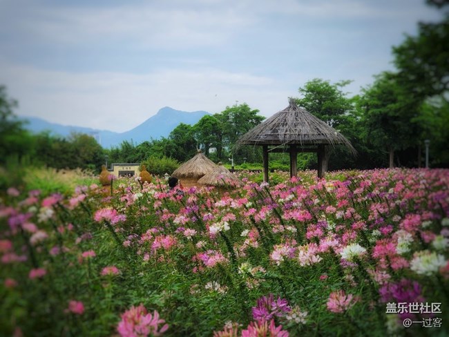 #初夏之戀——夏天的色彩