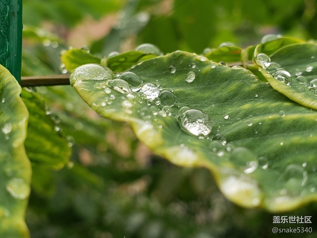 【見微知著】+狂風(fēng)暴雨過后的粉嫩
