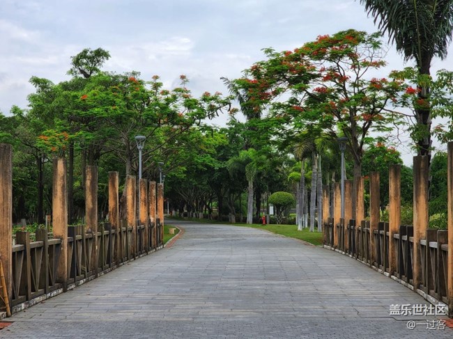 #初夏之戀——夏天的色彩