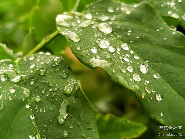 【見微知著】+狂風(fēng)暴雨過后的粉嫩