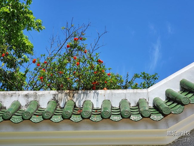 #初夏之戀——夏天的色彩