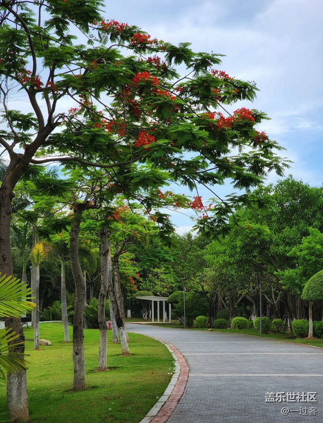 #初夏之戀——夏天的色彩