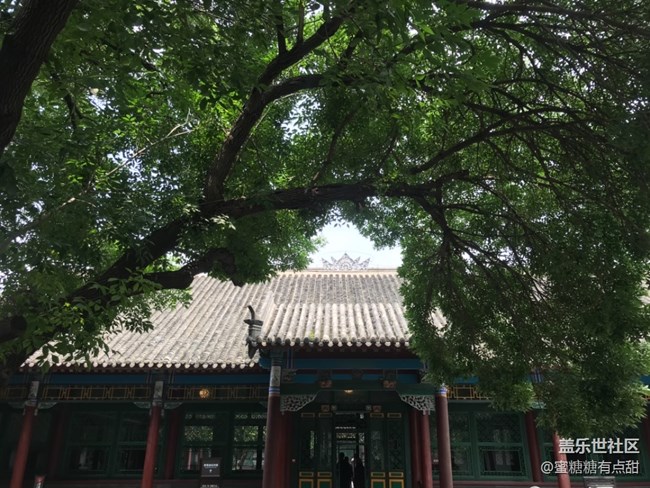 我在帥府拍拍拍—沈陽人的第一次帥府行