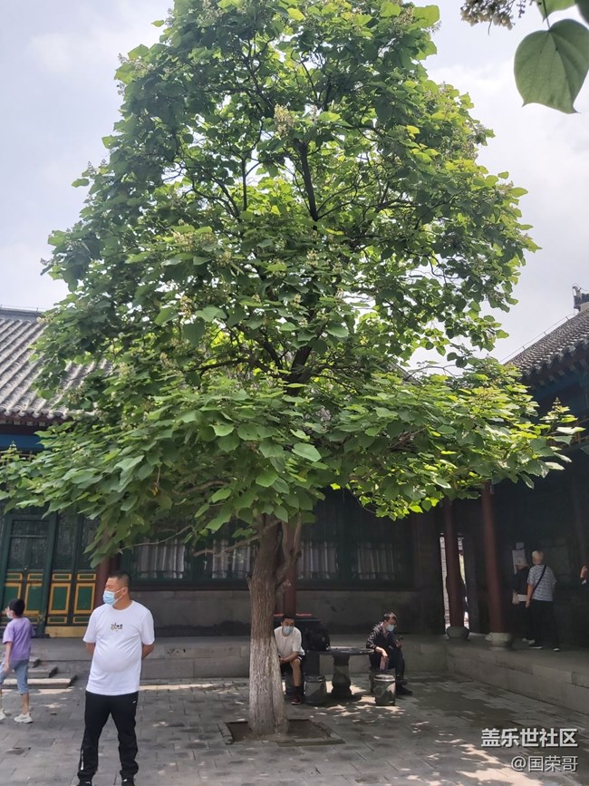 【我在帥府拍拍拍】小時(shí)候的記憶