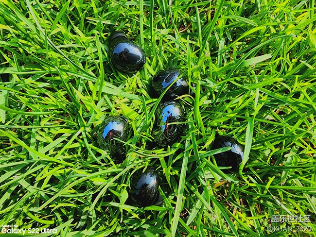 【見微知著】+三星耳機三劍客 【見微知著】+三星耳機三劍客