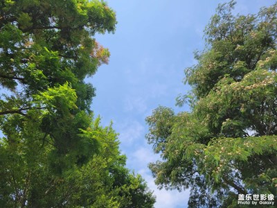 綠色城市