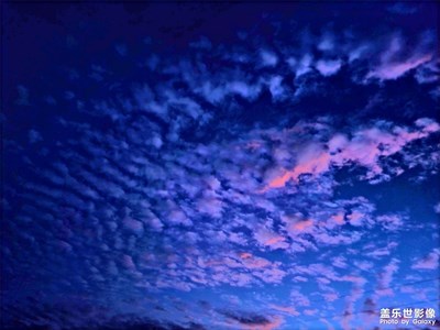 【我的夏天】+愛生活、愛自由