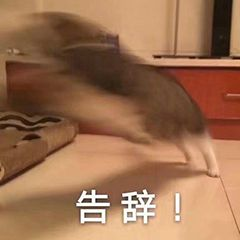 長期使用沖牙器的危害弊端，這些副作用你必須了解！