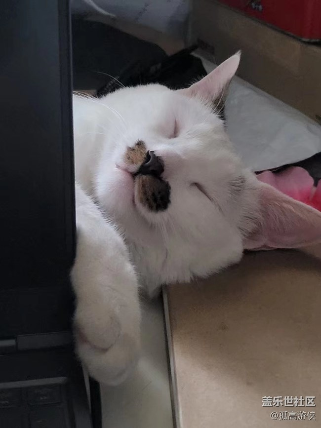 已開獎【寵物板塊版六月第三周】+寵物之間如何相處