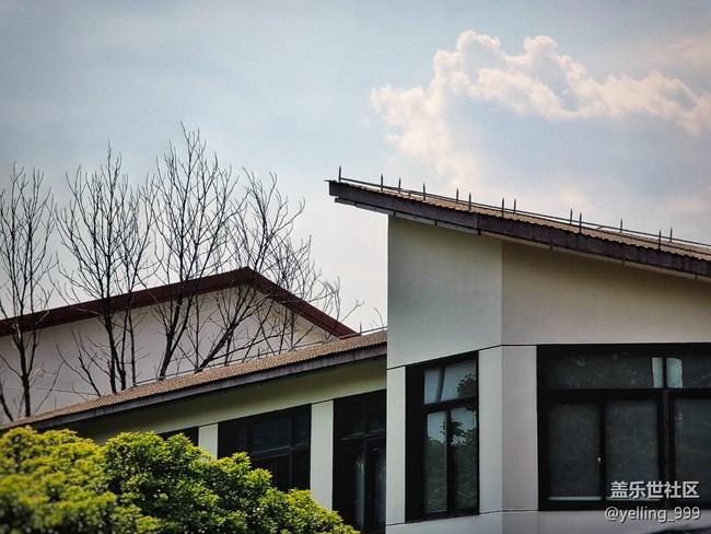 【約會(huì)盛夏】+出去走走