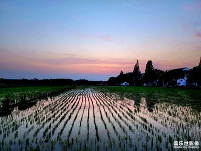 交作業(yè)了