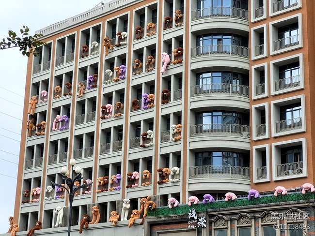 【陽(yáng)光燦爛的日子】+陽(yáng)光燦爛 心便安好