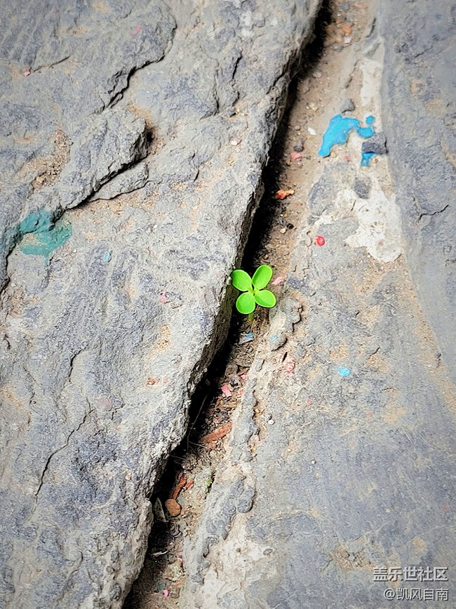 沈陽(yáng)星部落帥府活動(dòng)回顧