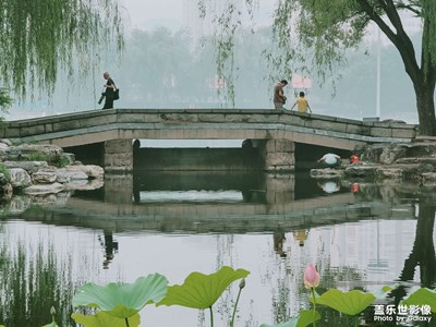 情深深雨濛濛