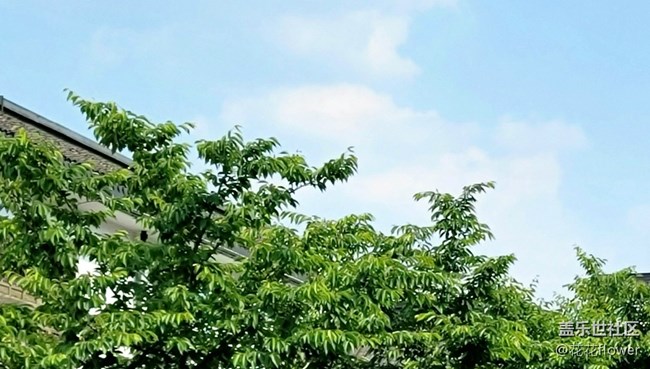 【云是世界的公民】+好大一朵棉花糖