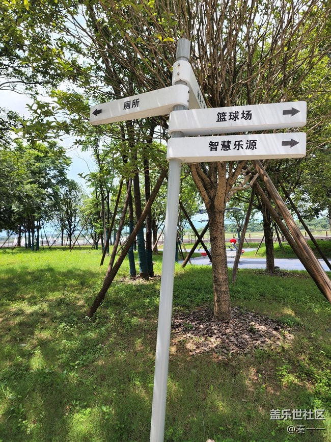 三星S22 Ultra主攝隨手拍，成像表現(xiàn)很穩(wěn)