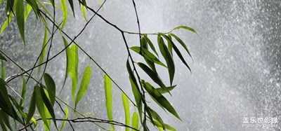清流隨拍