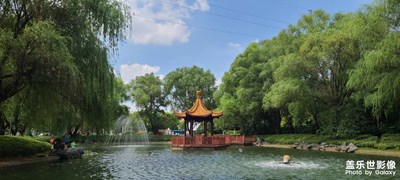 夏日公園
