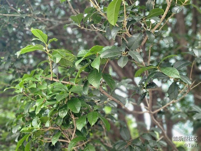 #初夏之戀——解封后