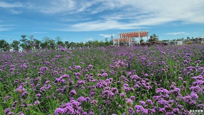 今天天氣好，拍幾張藍(lán)天白云。