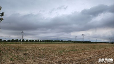 【多彩夏日】風雨欲來