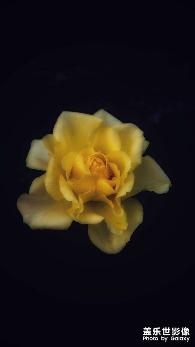 《每周星鮮事》 第110期 《每周星鮮事》 第110期