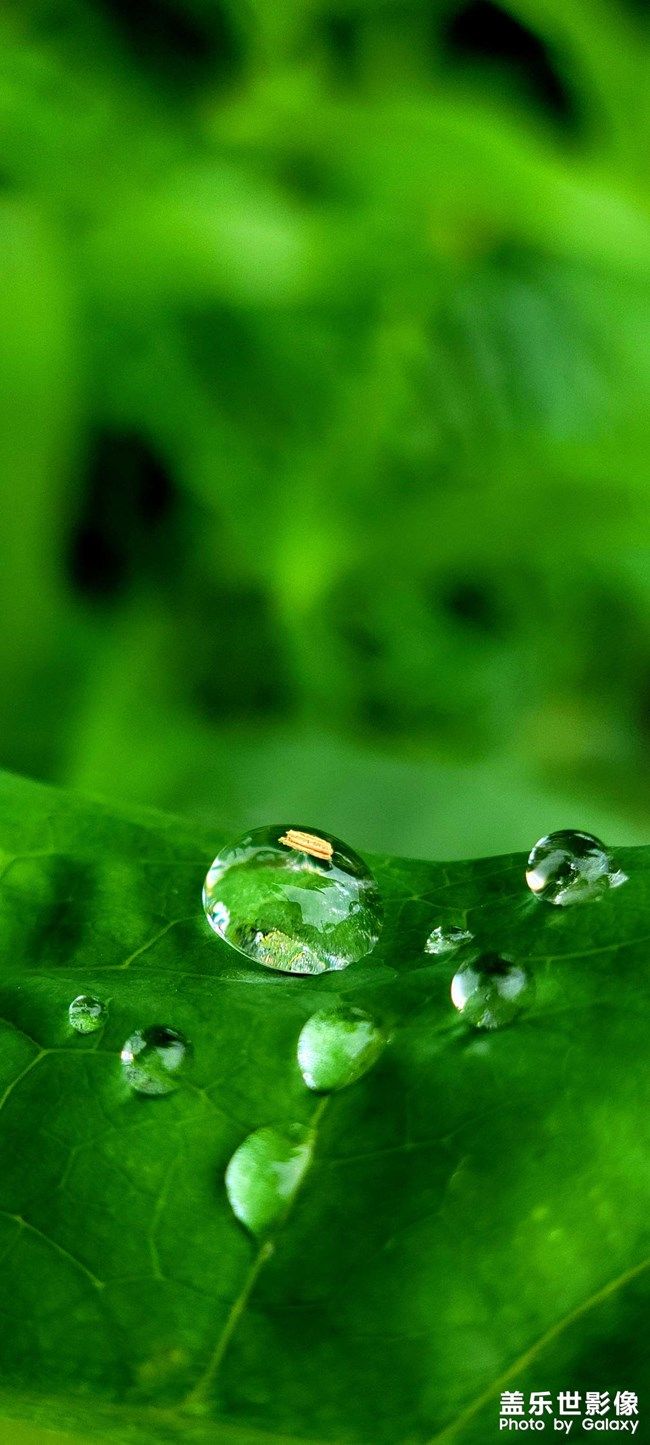 《每周星鮮事》 第110期:參與Bixby活動有機(jī)會贏取京東卡獎勵 《每周星鮮事》 第110期:參與Bixby活動有機(jī)會贏取京東卡獎勵