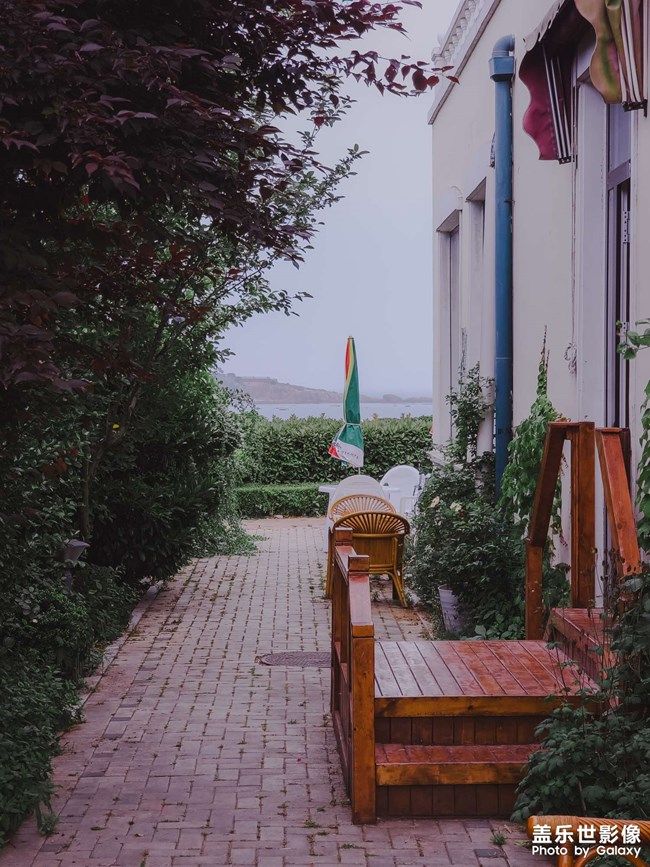 《每周星鮮事》 第110期 《每周星鮮事》 第110期