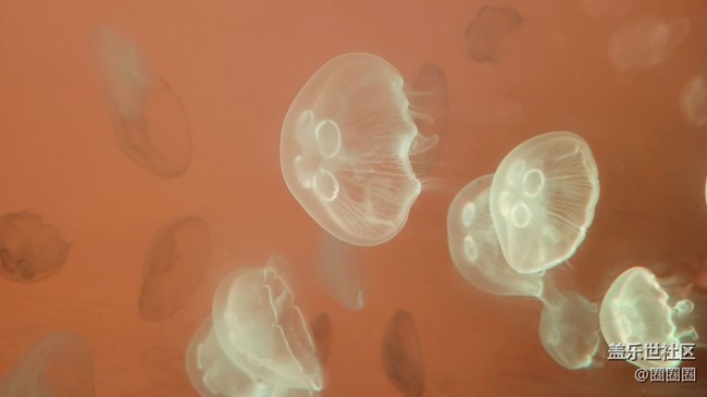 【見微知著】可愛的小精靈