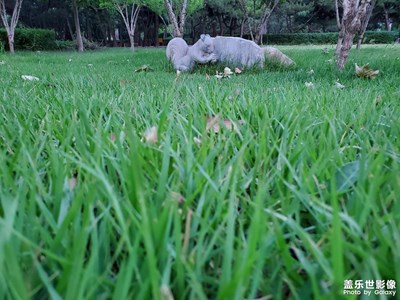 【我的夏天】＋小公園