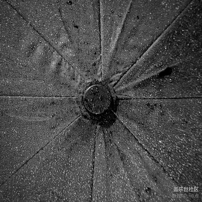 【見微知著】雨傘上的星空