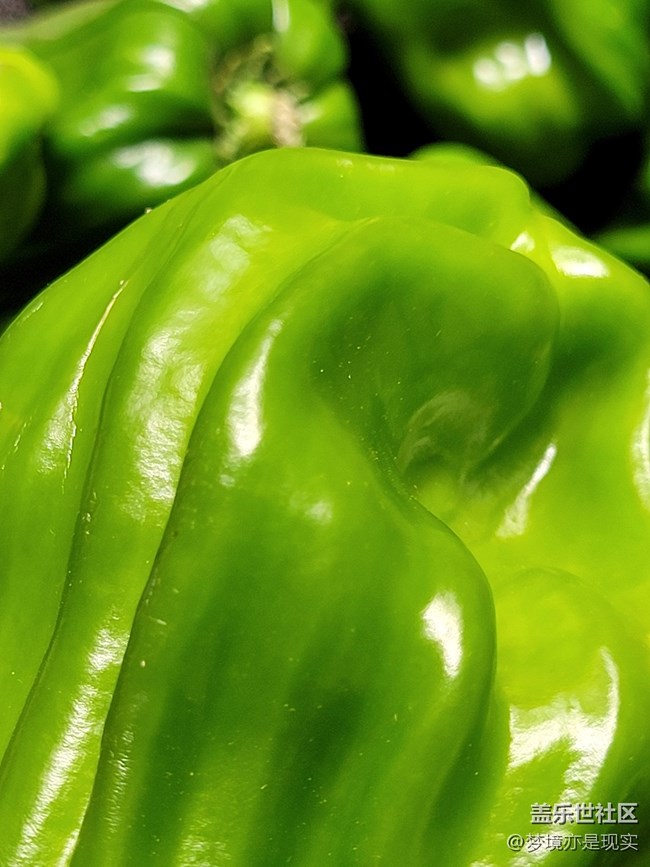 【見(jiàn)微知著】花果飄香