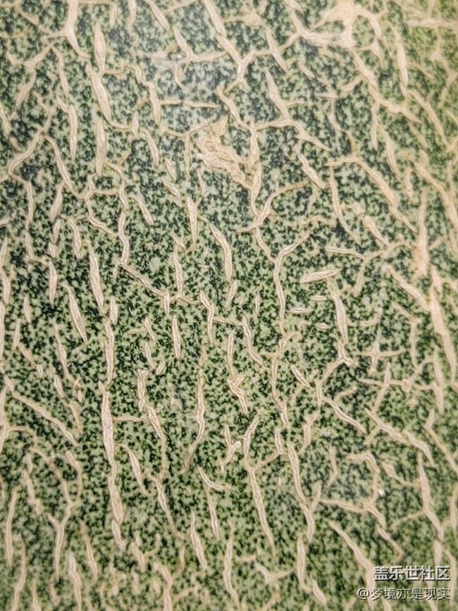 【見(jiàn)微知著】花果飄香