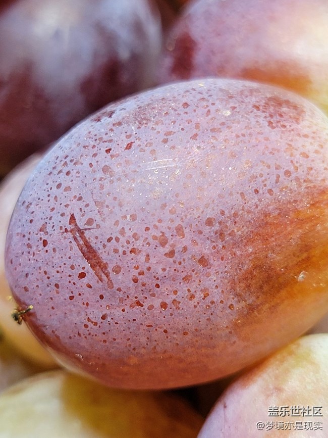 【見(jiàn)微知著】花果飄香