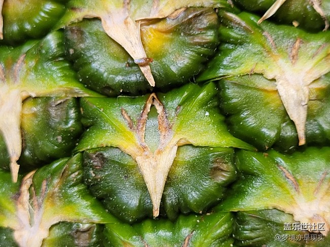 【見(jiàn)微知著】花果飄香