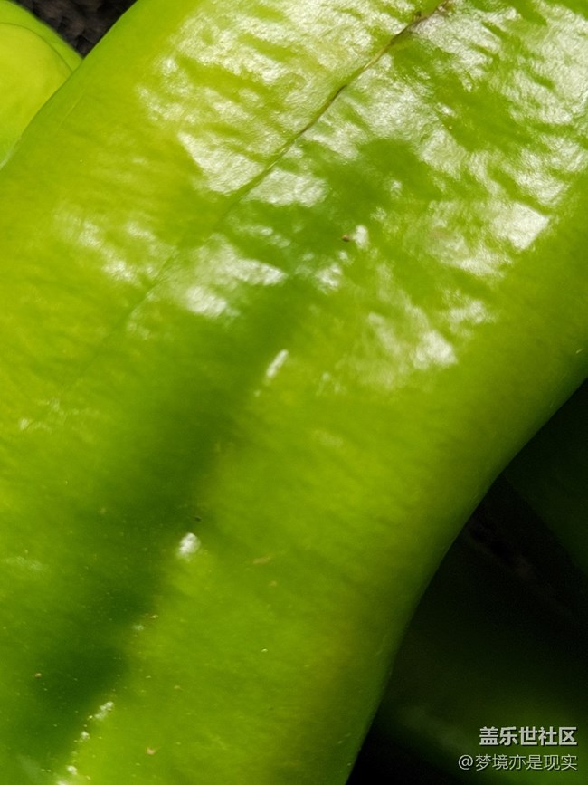 【見(jiàn)微知著】花果飄香