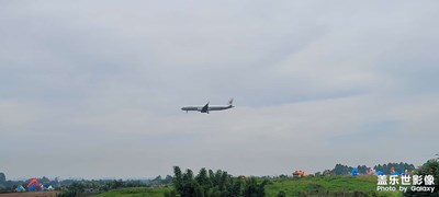 空港花田旁的隨拍！