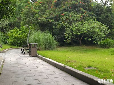 公園隨拍