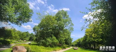 夏日炎炎